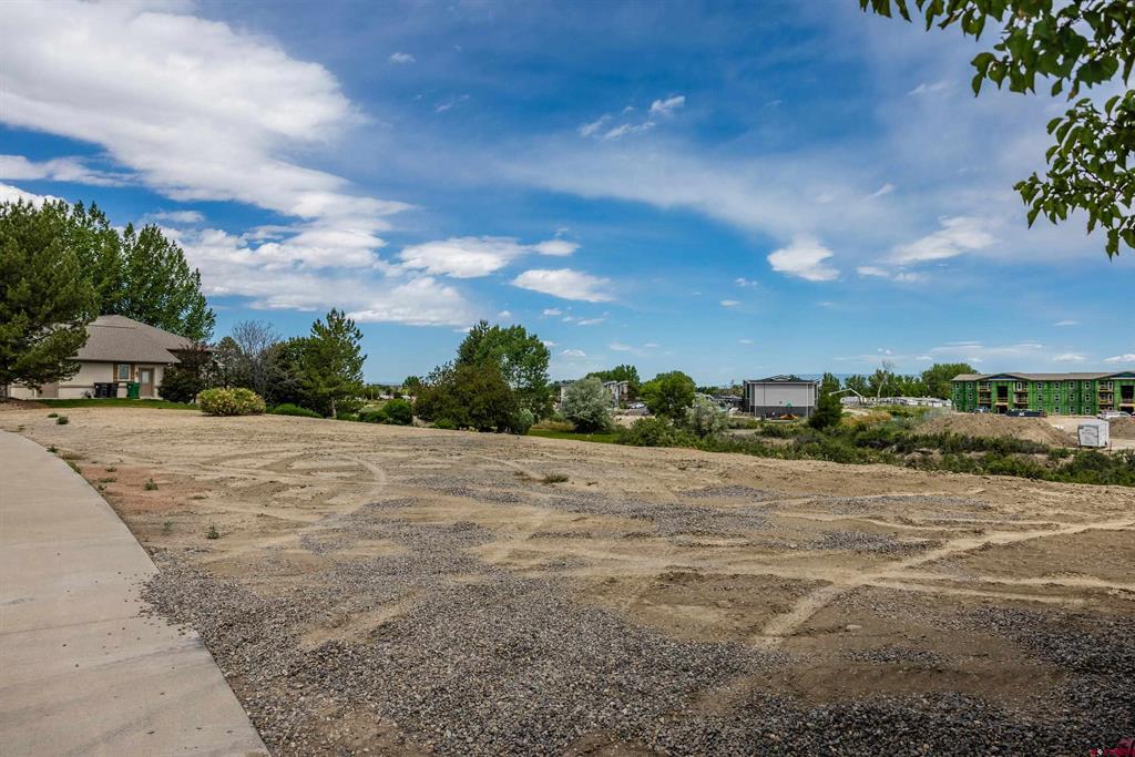 Lot 25 Otter Pond Circle Montrose CO 81401