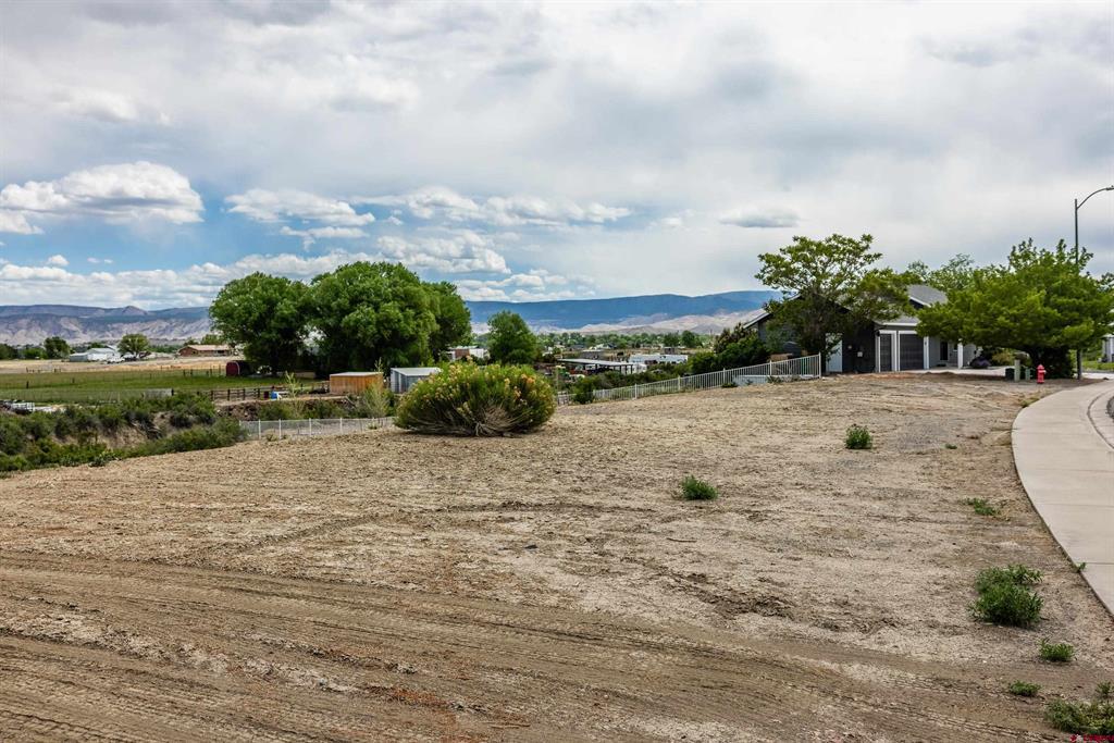 Lot 25 Otter Pond Circle Montrose CO 81401