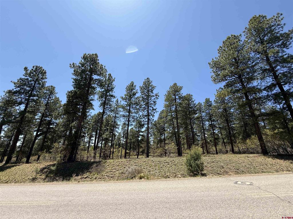 Tbd Edgemont Highlands Drive Durango CO 81301