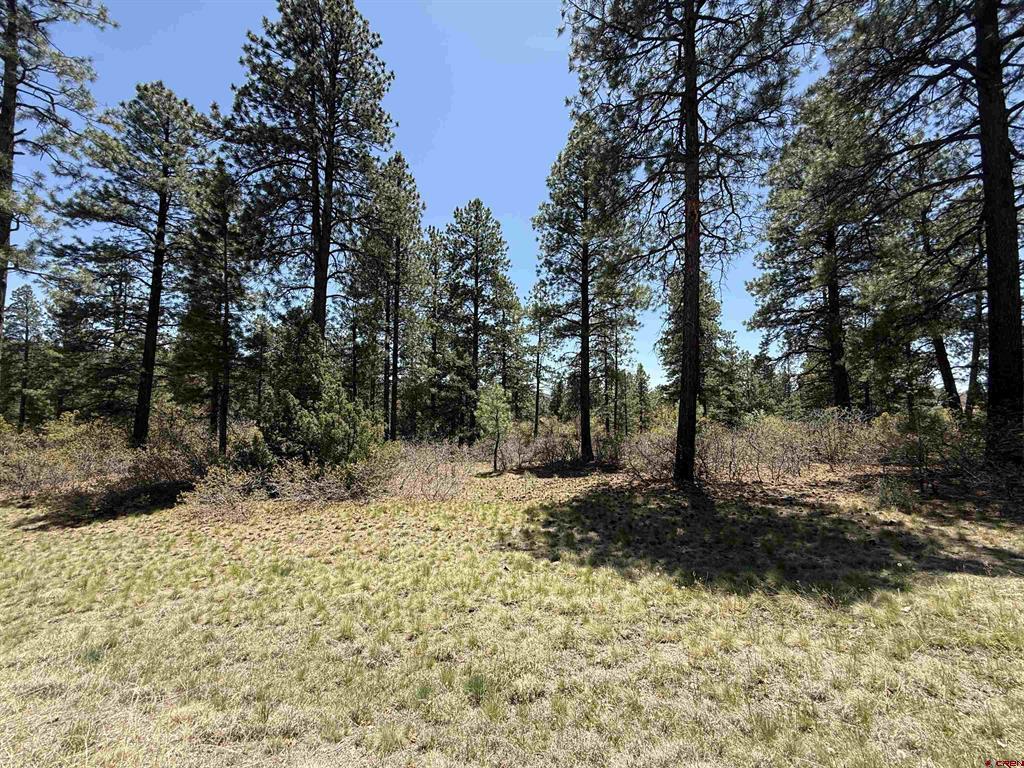 Tbd Edgemont Highlands Drive Durango CO 81301