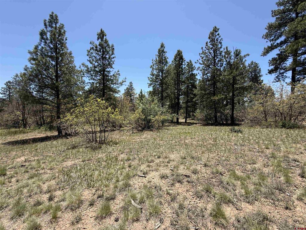 Tbd Edgemont Highlands Drive Durango CO 81301