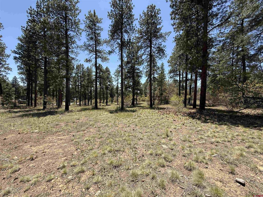Tbd Edgemont Highlands Drive Durango CO 81301