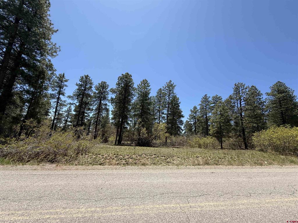 Tbd Edgemont Highlands Drive Durango CO 81301