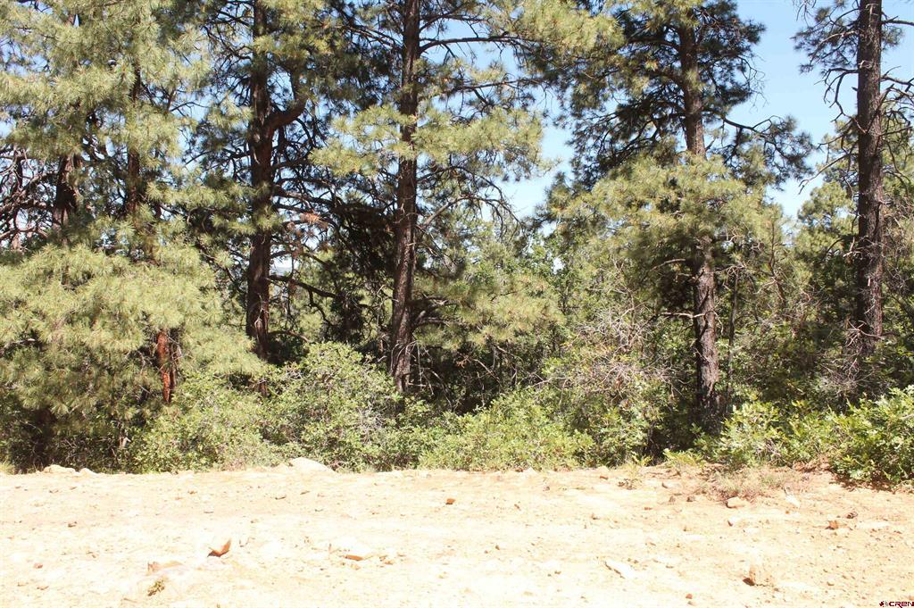 190 Jackalope Drive Bayfield CO 81122