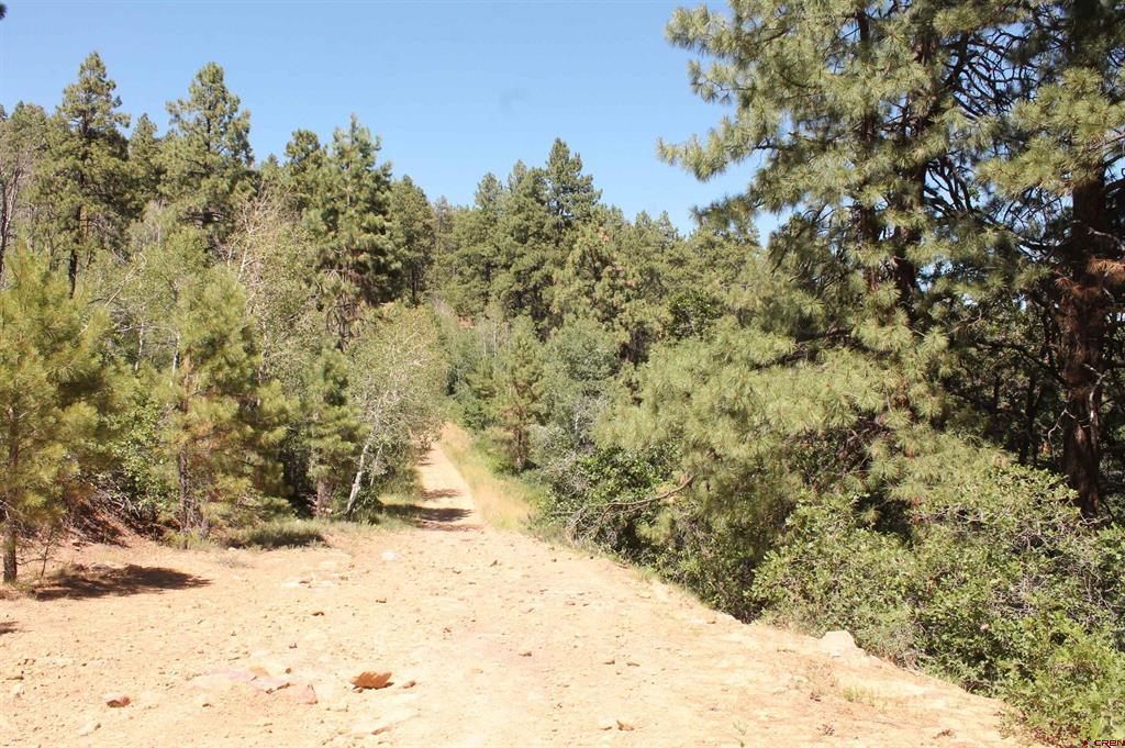190 Jackalope Drive Bayfield CO 81122