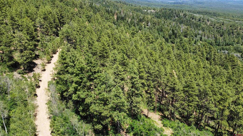 190 Jackalope Drive Bayfield CO 81122