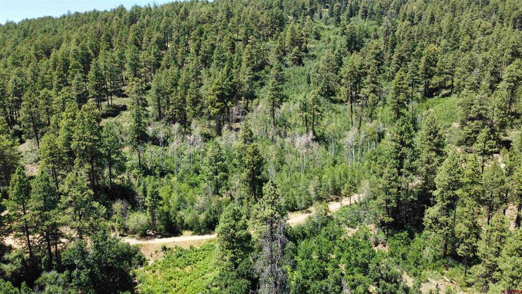 190 Jackalope Drive Bayfield CO 81122