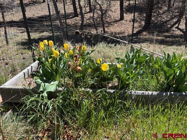 725 & 753 Crooked Road Pagosa Springs CO 81147