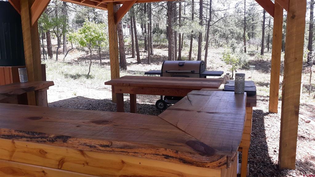 725 & 753 Crooked Road Pagosa Springs CO 81147