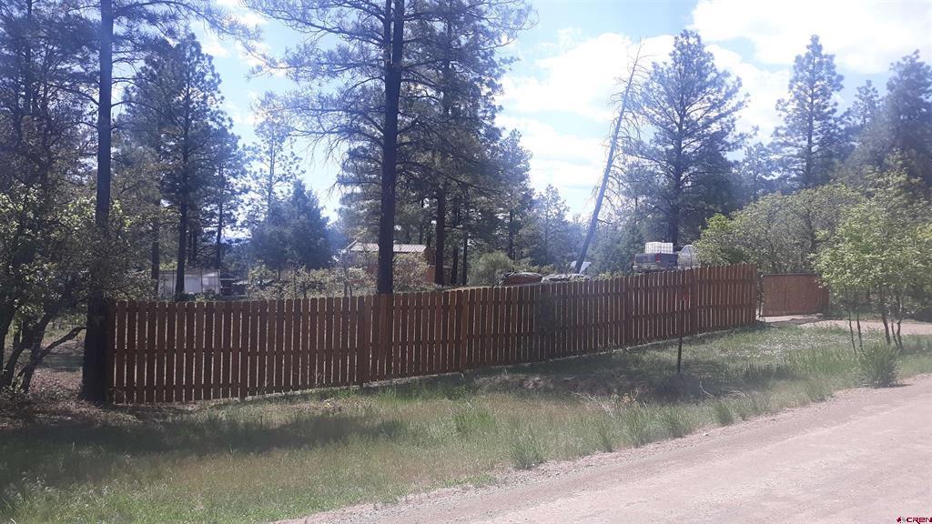 725 & 753 Crooked Road Pagosa Springs CO 81147
