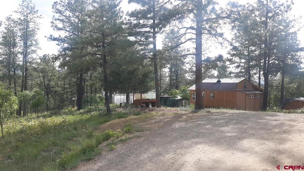 725 & 753 Crooked Road Pagosa Springs CO 81147
