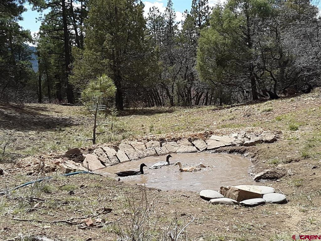725 & 753 Crooked Road Pagosa Springs CO 81147
