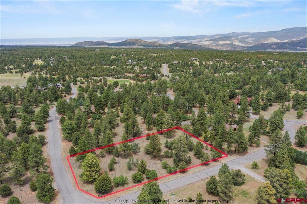 Tbd Lot 308 Bear Cub Drive Ridgway CO 81432