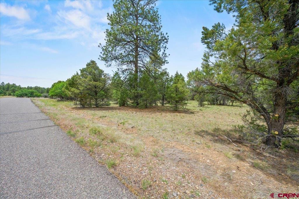 Tbd Lot 308 Bear Cub Drive Ridgway CO 81432