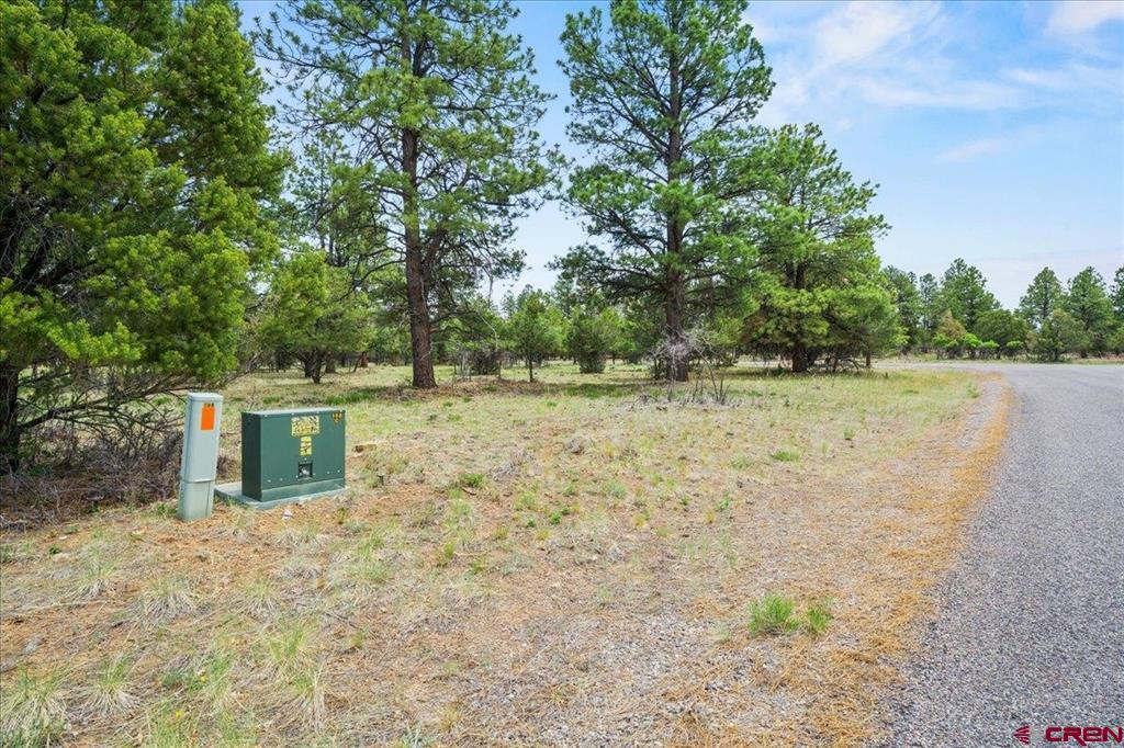 Tbd Lot 308 Bear Cub Drive Ridgway CO 81432