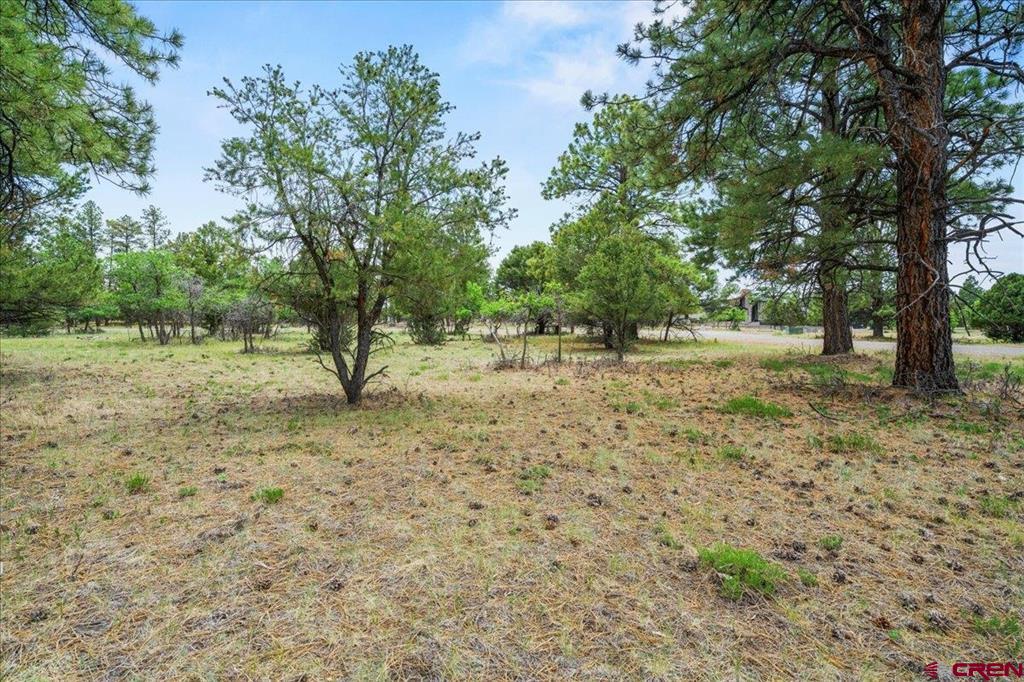 Tbd Lot 308 Bear Cub Drive Ridgway CO 81432
