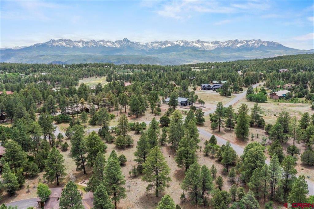 Tbd Lot 308 Bear Cub Drive Ridgway CO 81432