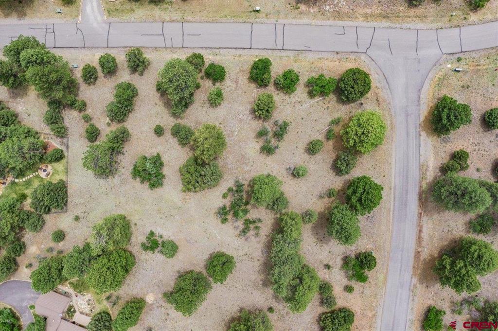 Tbd Lot 308 Bear Cub Drive Ridgway CO 81432