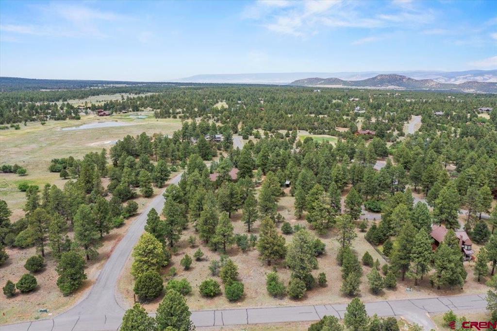 Tbd Lot 308 Bear Cub Drive Ridgway CO 81432
