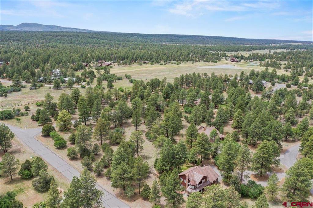Tbd Lot 308 Bear Cub Drive Ridgway CO 81432