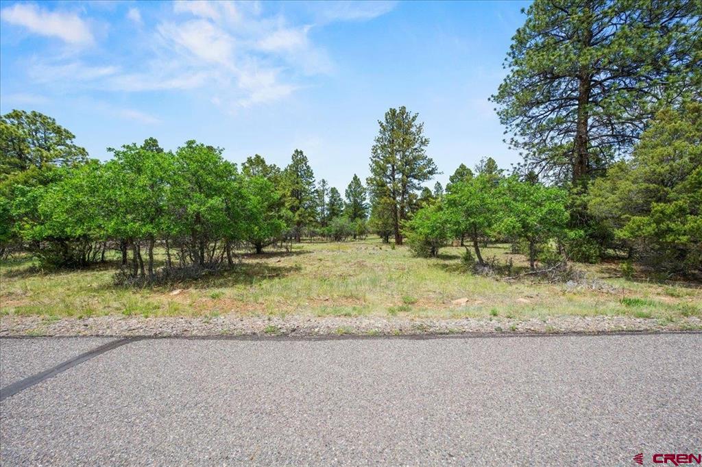 Tbd Lot 308 Bear Cub Drive Ridgway CO 81432