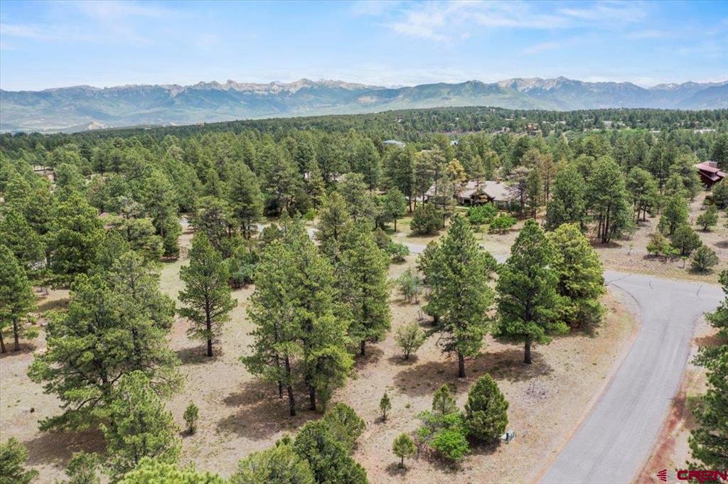 Tbd Lot 308 Bear Cub Drive Ridgway CO 81432