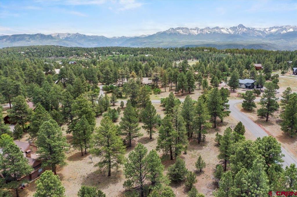 Tbd Lot 308 Bear Cub Drive Ridgway CO 81432