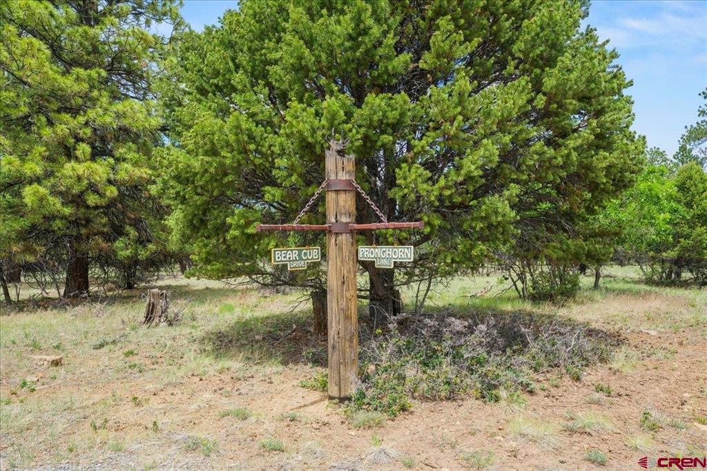 Tbd Lot 308 Bear Cub Drive Ridgway CO 81432