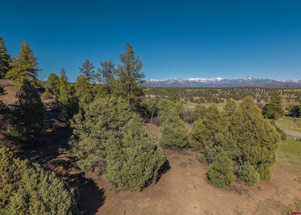 300 Shooting Star Drive Pagosa Springs CO 81147