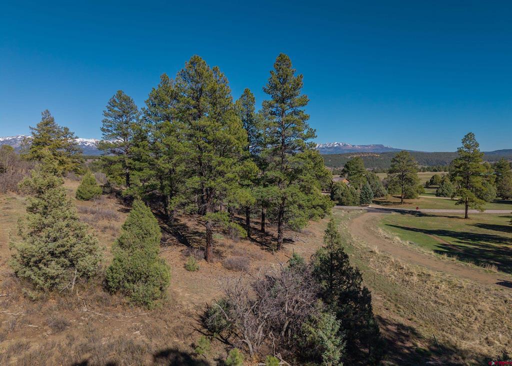 300 Shooting Star Drive Pagosa Springs CO 81147