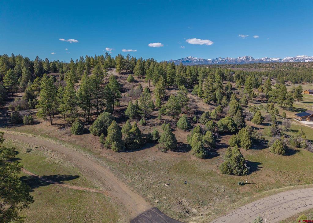 300 Shooting Star Drive Pagosa Springs CO 81147