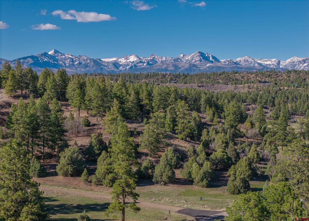 300 Shooting Star Drive Pagosa Springs CO 81147
