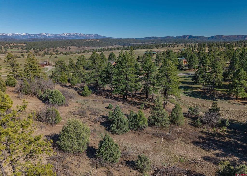 300 Shooting Star Drive Pagosa Springs CO 81147