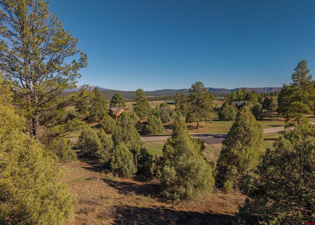 300 Shooting Star Drive Pagosa Springs CO 81147
