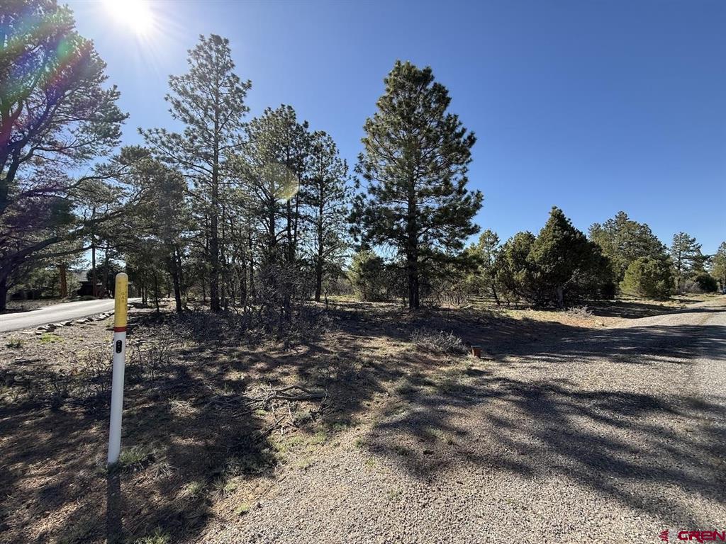 Lot 5 Cottontail Lane Ridgway CO 81432