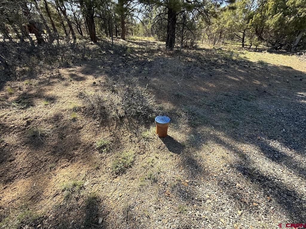 Lot 5 Cottontail Lane Ridgway CO 81432