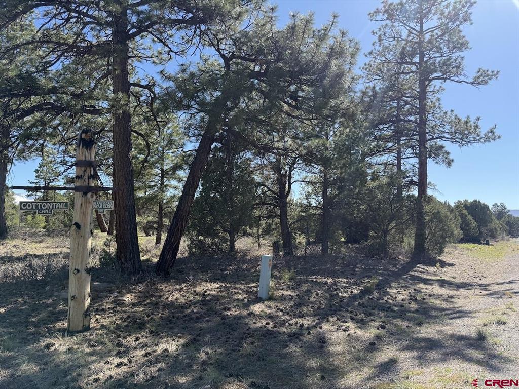 Lot 5 Cottontail Lane Ridgway CO 81432