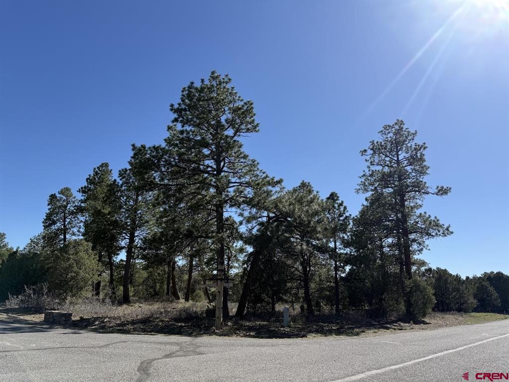 Lot 5 Cottontail Lane Ridgway CO 81432