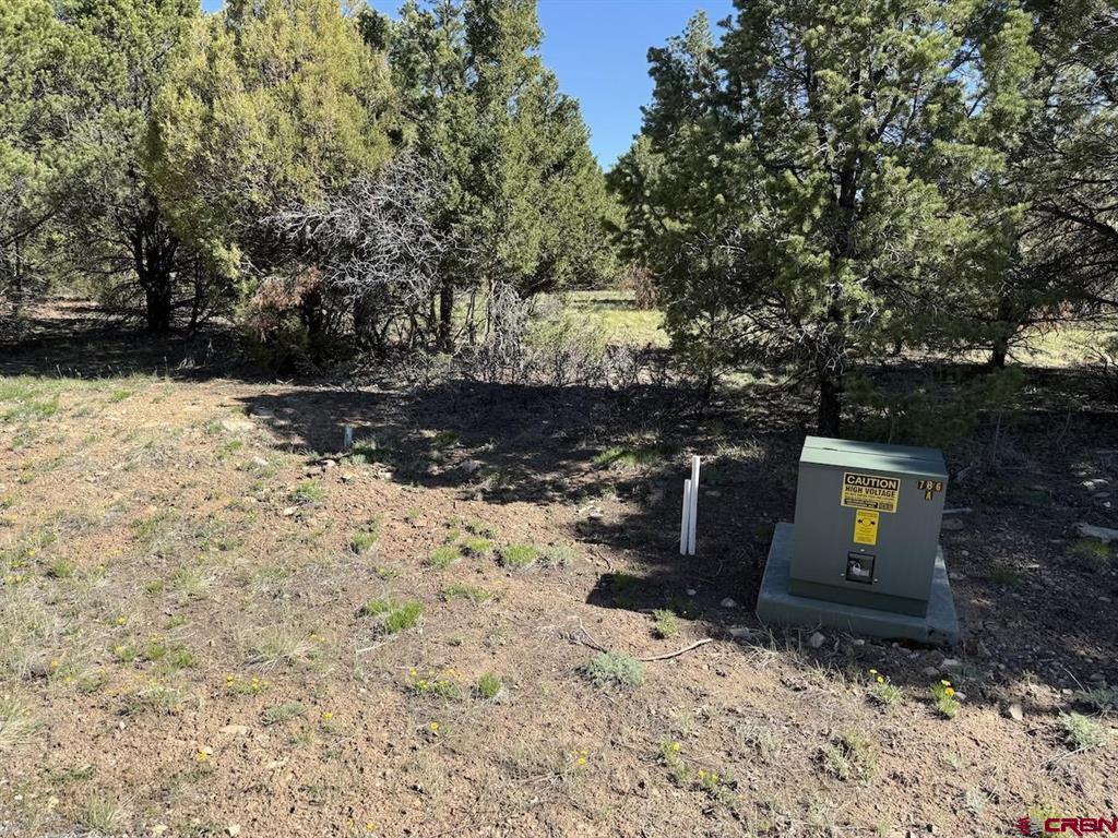 Lot 5 Cottontail Lane Ridgway CO 81432