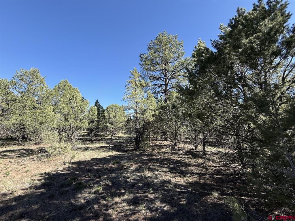 Lot 5 Cottontail Lane Ridgway CO 81432