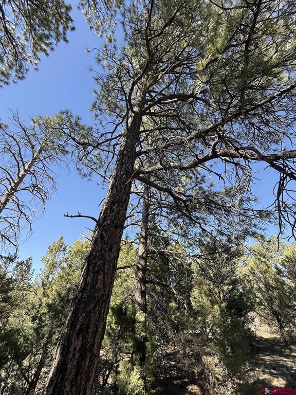 Lot 5 Cottontail Lane Ridgway CO 81432