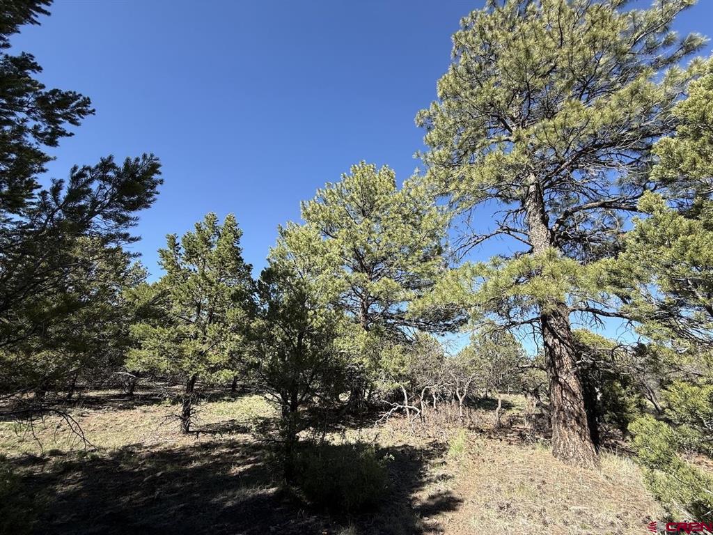 Lot 5 Cottontail Lane Ridgway CO 81432