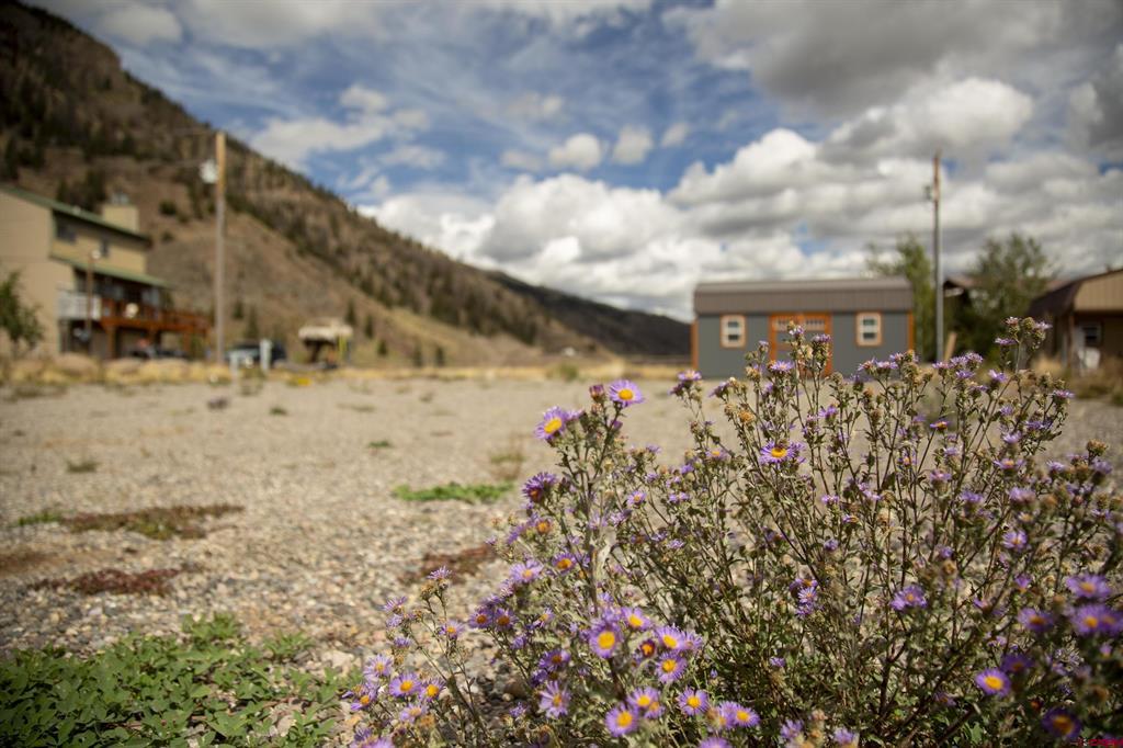115 Trout Court Creede CO 81130
