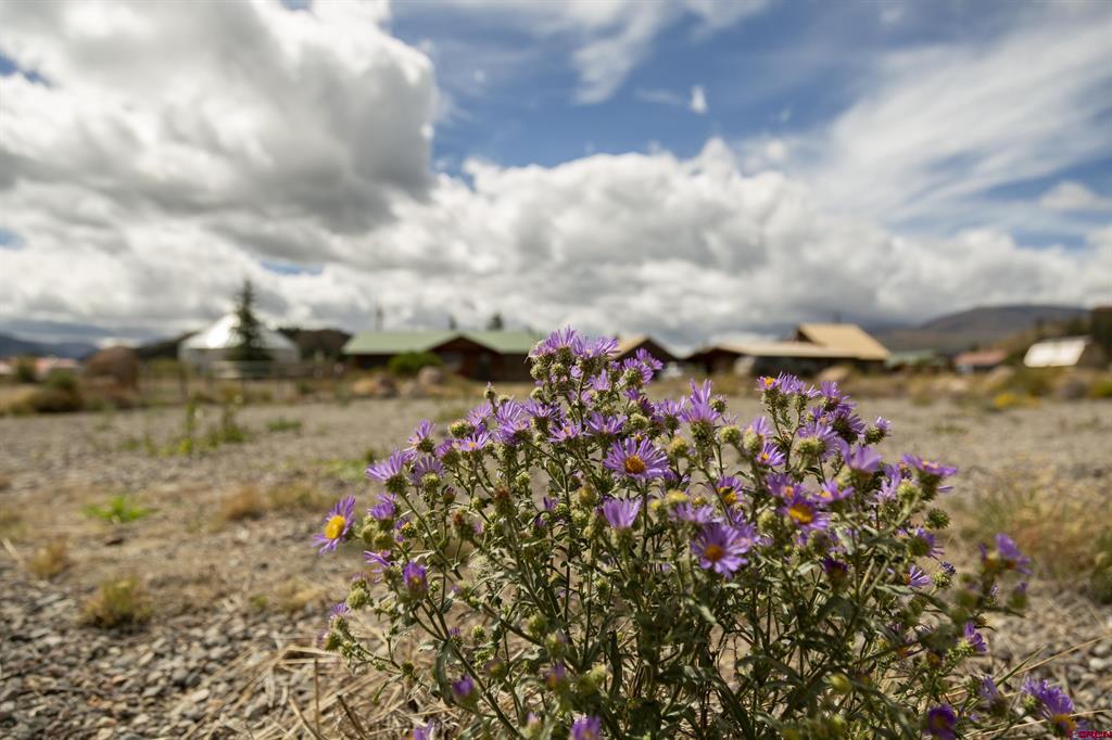 115 Trout Court Creede CO 81130