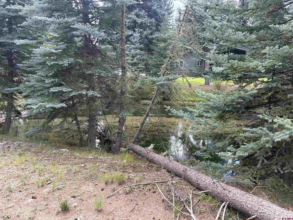 3 Boletus Creek Drive Bayfield CO 81122