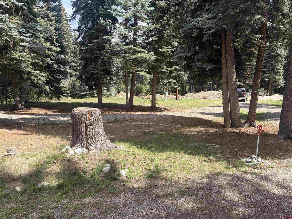 3 Boletus Creek Drive Bayfield CO 81122
