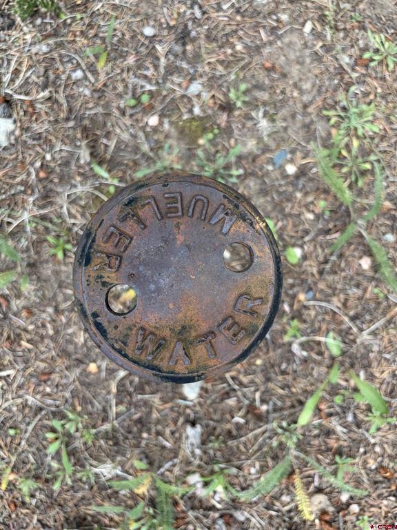 3 Boletus Creek Drive Bayfield CO 81122