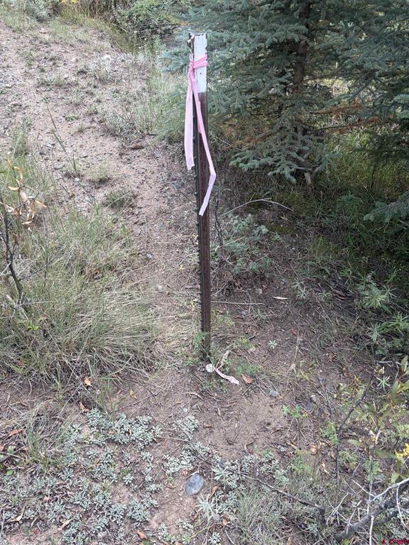 3 Boletus Creek Drive Bayfield CO 81122