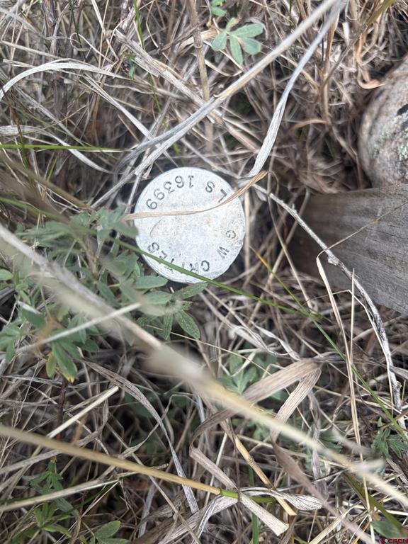 3 Boletus Creek Drive Bayfield CO 81122