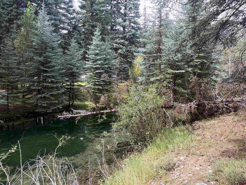 3 Boletus Creek Drive Bayfield CO 81122